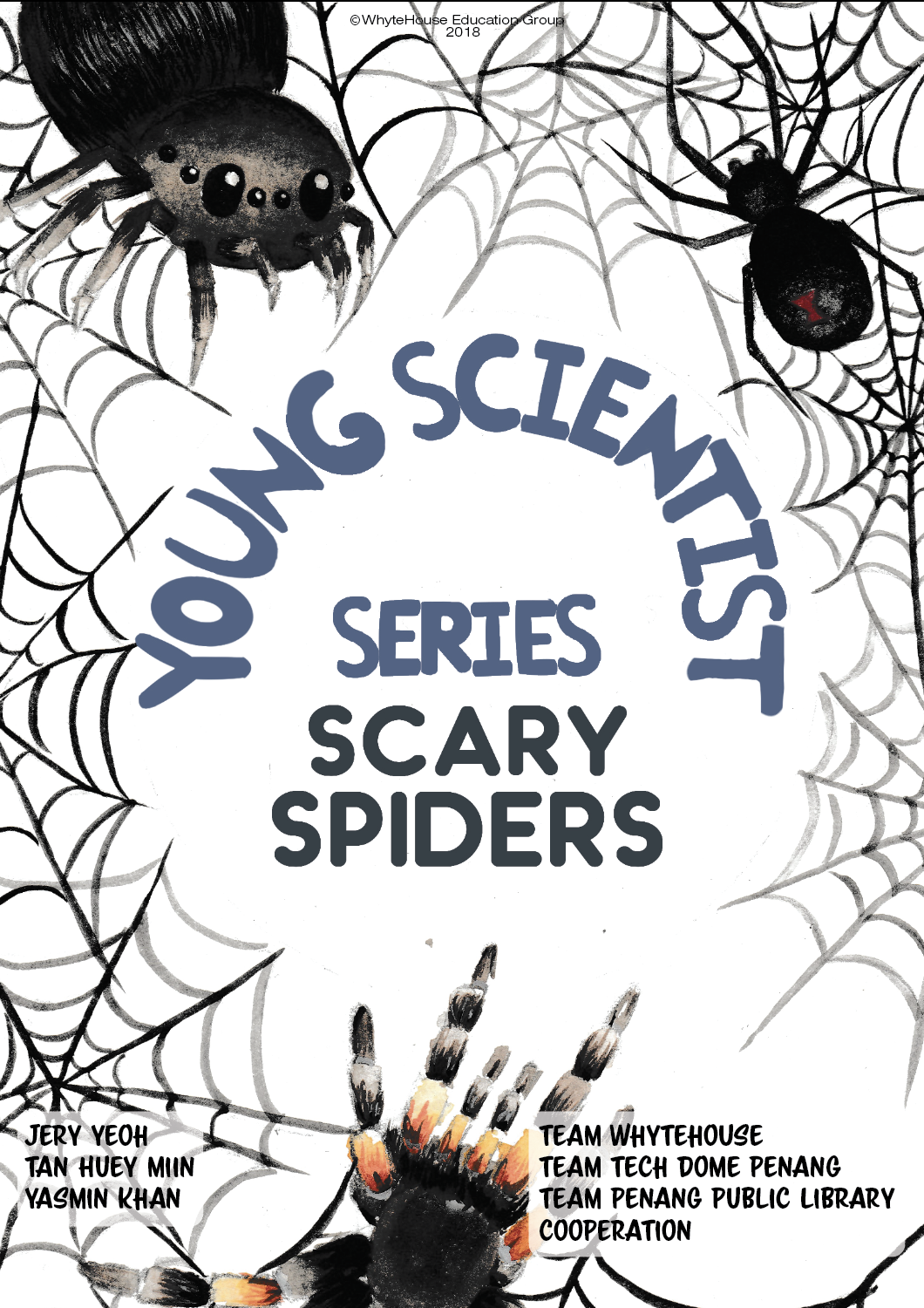 Scary Spiders book cover