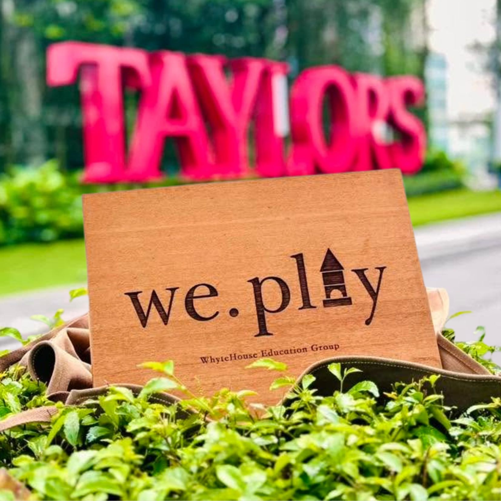 Taylor's University play experience